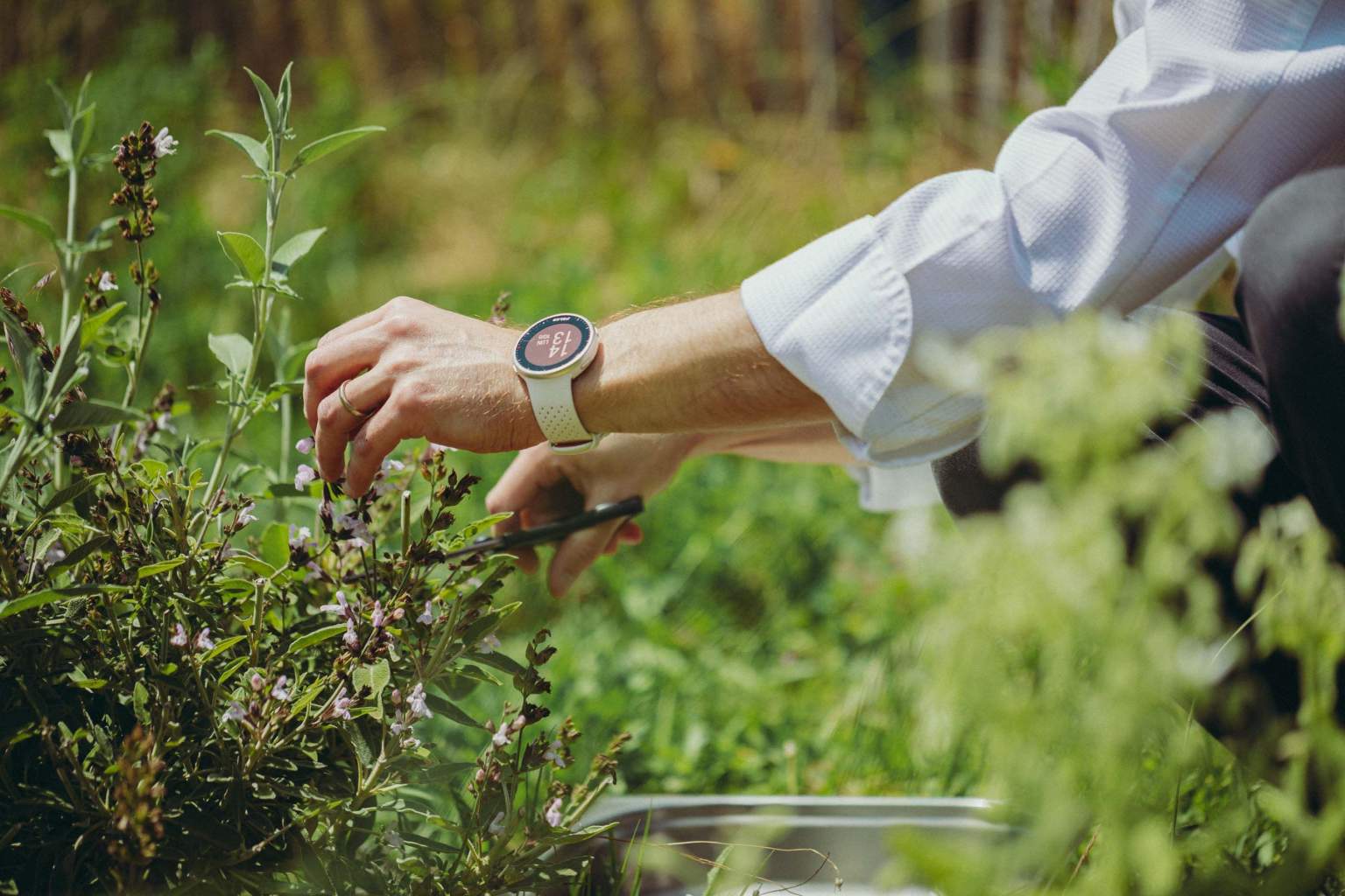 Auberge de Clochemerle cook preparing a dish